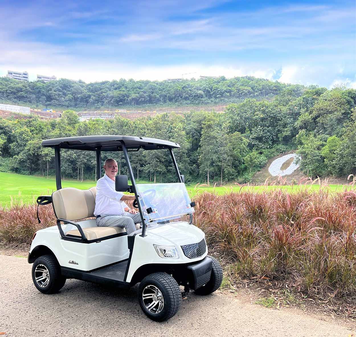 elite golf cart 2 seater